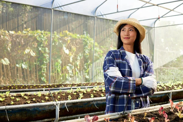 Ung Asiatisk Kvinnlig Bonde Står Med Korsade Armar Ett Växthus — Stockfoto