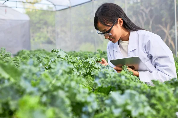 Den Kvinnliga Botanikern Arbetar Växthus Fulla Växter — Stockfoto