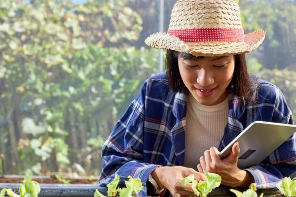 Young Female Farmer Grows Cares Organic Vegetables Greenhouses Asian Woman — Stock Photo, Image