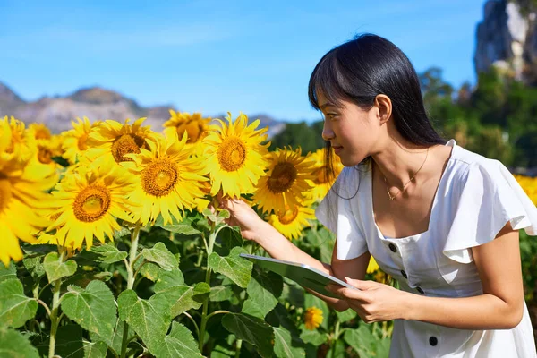Smart Young Female Farmer Holding Tablet Sunflower Field Use Technology — Stock Photo, Image