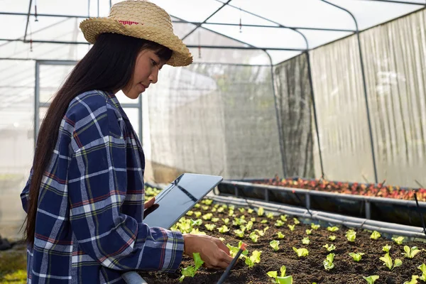 Jonge Vrouwelijke Boer Heeft Een Tablet Een Kas Aziatische Vrouw — Stockfoto