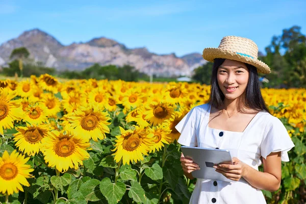 Smart Ung Kvinnlig Bonde Som Håller Tablett Ett Solrosfält Användning — Stockfoto