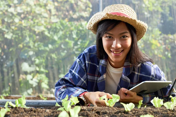 Young Female Farmer Grows Cares Organic Vegetables Greenhouses Asian Woman — Stock Photo, Image