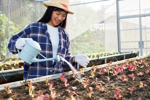 Ung Asiatisk Kvinnlig Bonde Odlar Och Vårdar Ekologiska Grönsaker Växthus — Stockfoto