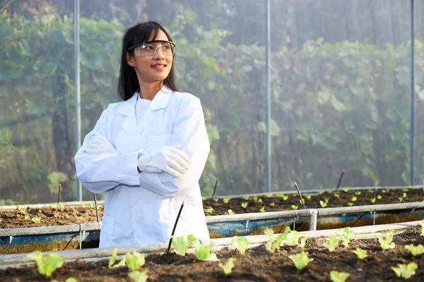 Female Botanist Geneticist Scientist Standing Arms Crossed Greenhouses Full Plants — Stock Photo, Image