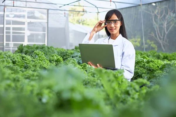 Kobieta Botanik Genetyk Lub Naukowiec Laptopem Pracuje Szklarniach Pełnych Roślin — Zdjęcie stockowe