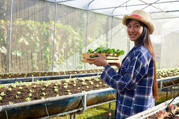 Een Jonge Aziatische Vrouwelijke Boer Houdt Een Houten Dienblad Met — Stockfoto