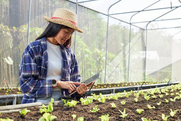 Ung Kvinnlig Bonde Har Surfplatta Plantskola Asiatisk Kvinna Som Använder — Stockfoto