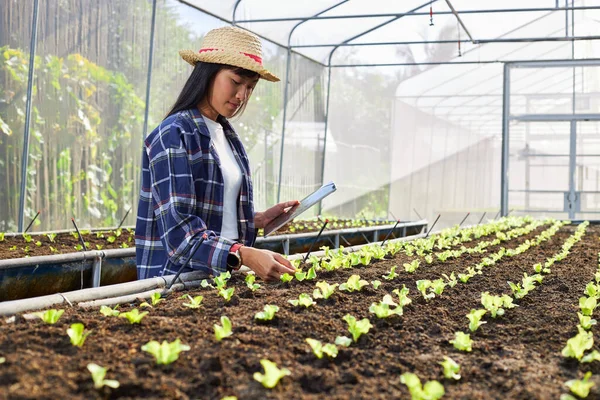 Uma Jovem Agricultora Tem Tablet Berçário Mulher Asiática Usando Tecnologia — Fotografia de Stock