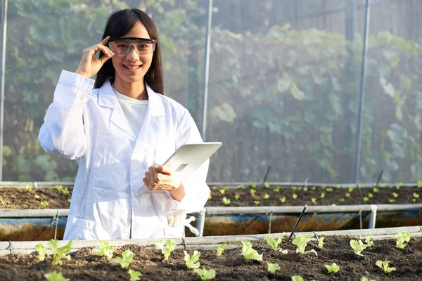 Genetiker Biologer Och Forskare Studerar Grönsakers Genetiska Struktur Plantskola — Stockfoto