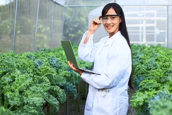 Den Kvinnliga Botanikern Genetikern Eller Vetenskapsmannen Arbetar Plantskola Full Växter — Stockfoto