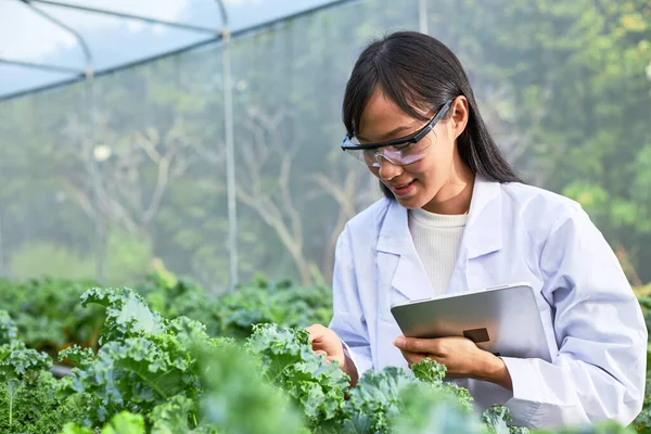 Geneticists Biologists Scientists Studying Genetic Structure Vegetables Nursery — Stock Photo, Image