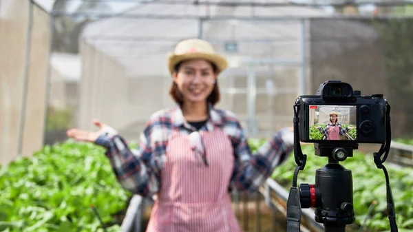 Unga Smarta Asiatiska Ekologiska Grönsaker Gård Ägare Sänder Live Med — Stockfoto