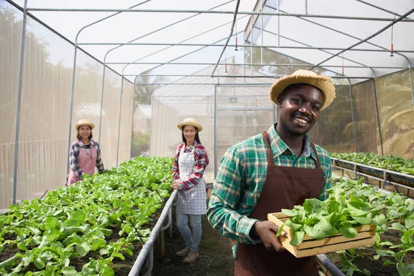 Black Man Stood Holding Wooden Tray Filled Organic Vegetables Smiling — Stock Photo, Image
