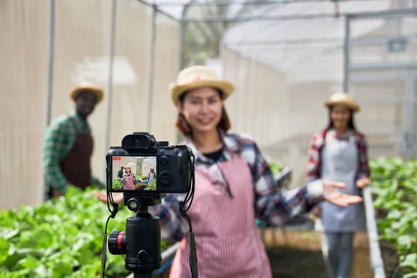 Creative Influencer Online Streaming Farming Demonstration Young Smart Asian Organic — Stock Photo, Image