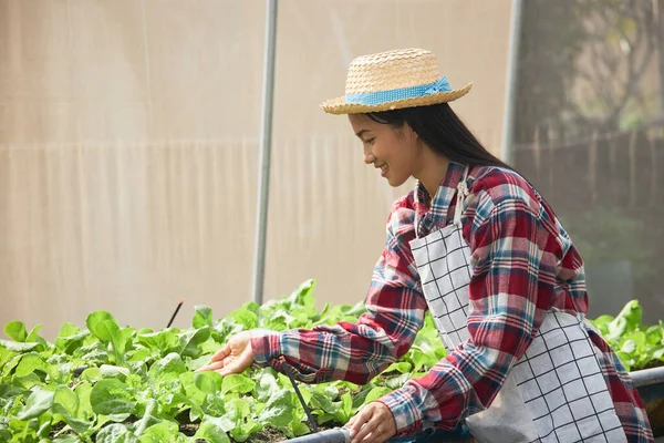 Hermosa Agricultora Asiática Que Lleva Sombrero Mimbre Está Cuidando Verduras —  Fotos de Stock