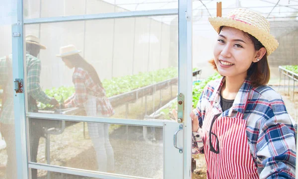 Asiatisk Kvinna Trädgårdsmästare Korgkeps Står Ekologisk Grönsak Tomt Morgonen Kvinnlig — Stockfoto