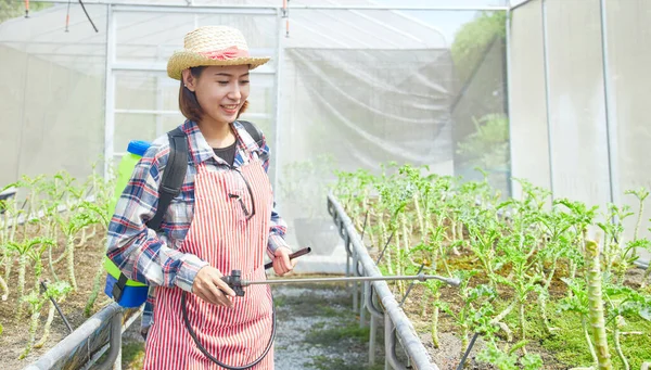 Asiatisk Kvinna Som Bär Hink Med Biogödsel Besprutar Dem För — Stockfoto