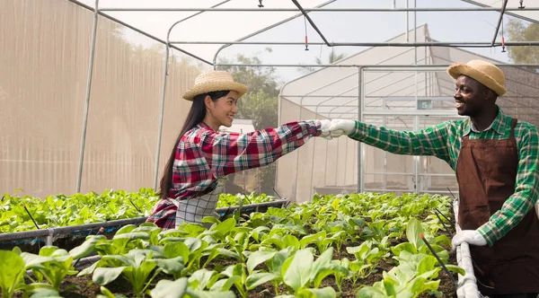 Een Paar Tuiniers Met Rieten Hoeden Zijn Blij Glimlachend Verzorging — Stockfoto