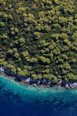 Hırvatistan 'ın Adriyatik Denizi' ndeki Lastovo Adası 'ndaki Rocky sahili
