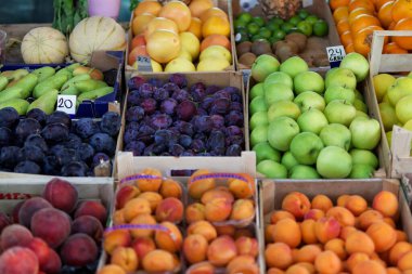 Hırvatistan 'da Adriyatik Denizi, Hvar Adası' nda Vrboska 'da gezinti