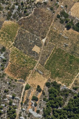 Hırvatistan 'ın Hvar adasındaki tarım sahalarının havadan görünüşü