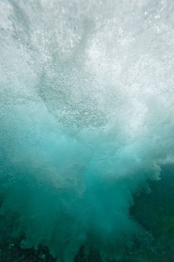 Hırvatistan 'ın Plitvice Gölleri Ulusal Parkı sualtı dünyası