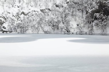 Hırvatistan 'ın Plitvice Gölleri Ulusal Parkı' nda kış