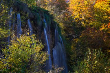 Hırvatistan 'ın Plitvice Göllerinde Sonbahar