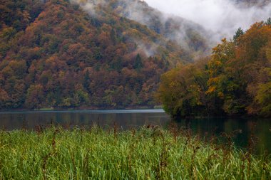 Hırvatistan 'ın Plitvice Göllerinde Sonbahar