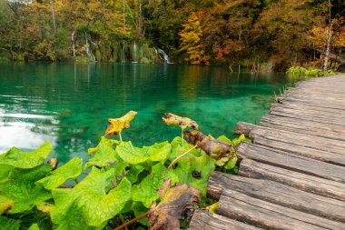 Hırvatistan 'ın Plitvice Göllerinde Sonbahar