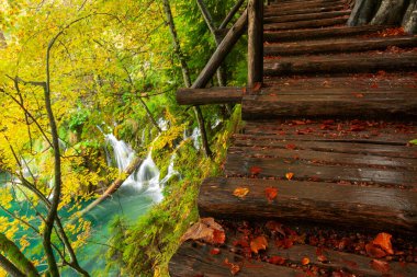 Hırvatistan 'ın Plitvice Göllerinde Sonbahar