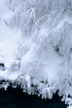 Hırvatistan 'ın Plitvice Gölleri Ulusal Parkı' nda kış