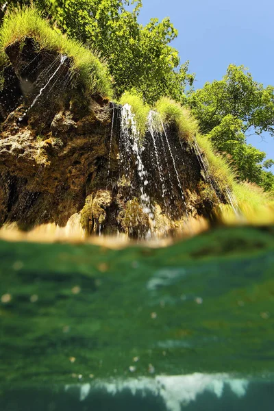 Unterwasserwelt Des Nationalparks Plitvicer Seen Kroatien — Stockfoto