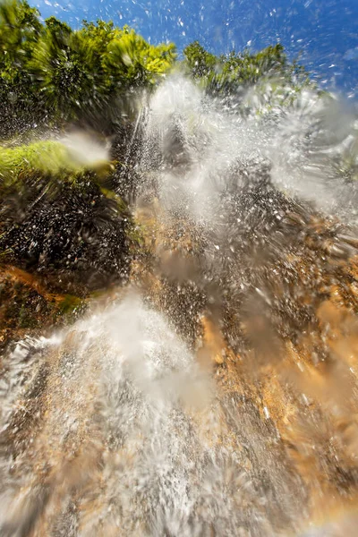 Υποβρύχια Κόσμο Του Εθνικού Πάρκου Plitvice Lakes Κροατία — Φωτογραφία Αρχείου