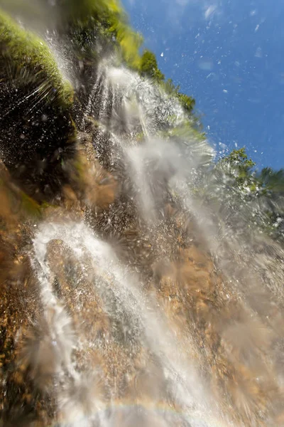 Undervattensvärlden Plitvicesjöarnas Nationalpark Kroatien — Stockfoto