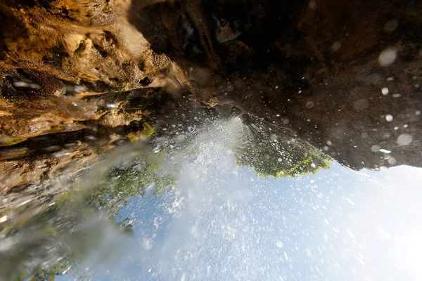 Undervattensvärlden Plitvicesjöarnas Nationalpark Kroatien — Stockfoto