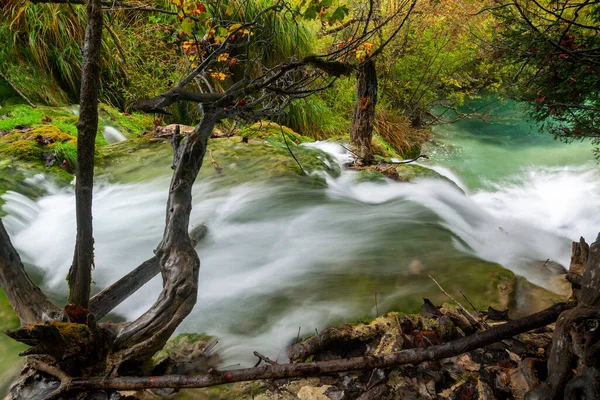 Automne Sur Les Lacs Plitvice Croatie — Photo