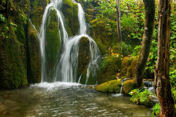 Automne Sur Les Lacs Plitvice Croatie — Photo