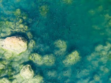 Skradinski Buk, Krka Ulusal Parkı 'ndan ince kefal balığının hava görüntüsü