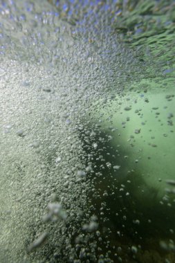 Hırvatistan 'ın başkenti Hırvatistan' daki Krka Nehri 'nin sualtı manzarası