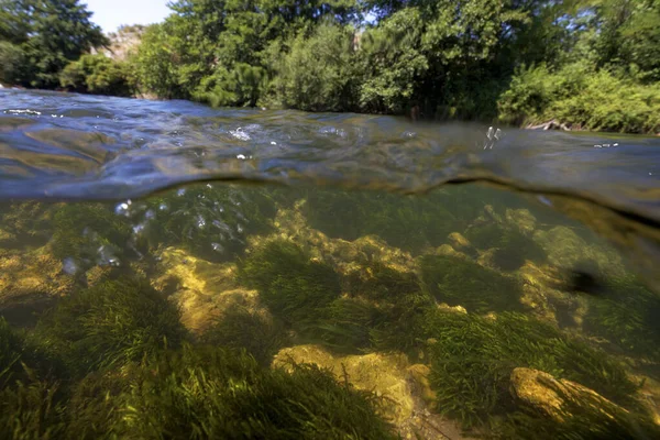 Vista Subaquática Rio Krka Parque Nacional Croácia — Fotografia de Stock