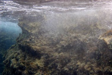 Hırvatistan 'ın Kamenjak Burnu yakınlarındaki denizin su altı manzarası