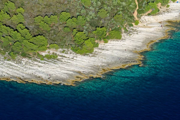 Flygfoto Över Kamenjakhalvön Istrien Kroatien — Stockfoto