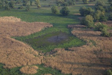 Hırvatistan 'da sellerden önce Kopaki rit' in ilkbaharda havadan görünüşü