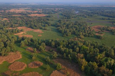 Hırvatistan 'da sellerden önce Kopaki rit' in ilkbaharda havadan görünüşü