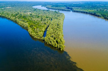 Drava ve Tuna nehirlerinin birleşiminin hava görüntüsü