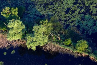 Hırvatistan 'da sellerden önce Kopaki rit' in ilkbaharda havadan görünüşü