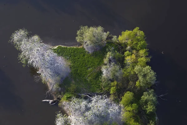 Vista Aérea Rit Kopaki Primavera Antes Das Inundações Croácia — Fotografia de Stock