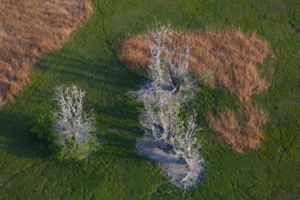 Vista Aérea Rit Kopaki Primavera Antes Das Inundações Croácia — Fotografia de Stock